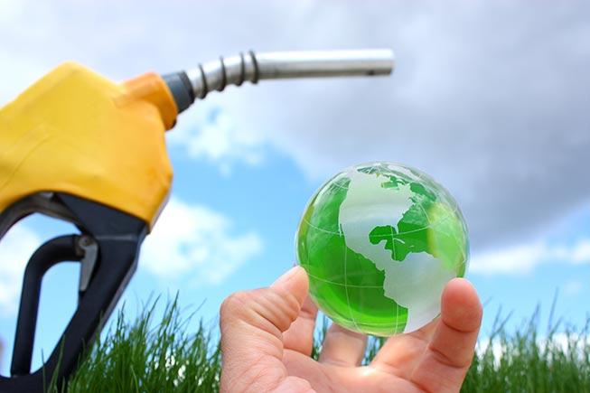 Rispetto dell'ambiente